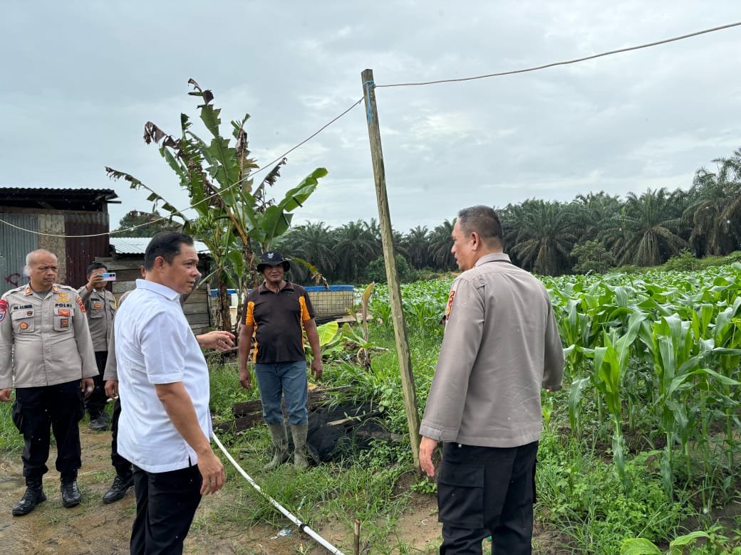 Tim Supervisi Polda Jambi Tinjau Proyek Jagung Pakan di Polres Tanjab Barat
