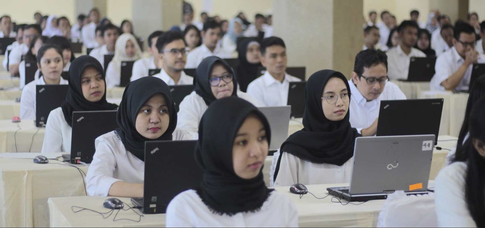 BKN Targetkan Penetapan NIP CASN 2024 Selesai Sebelum Pengangkatan, Ini Jadwalnya