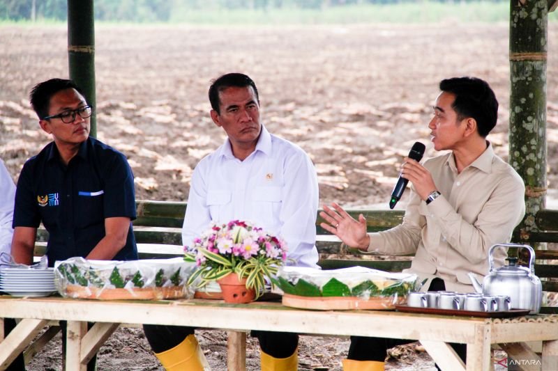 Gibran Minta Kementan Tuntaskan PR Industri Gula, Target Swasembada 2027