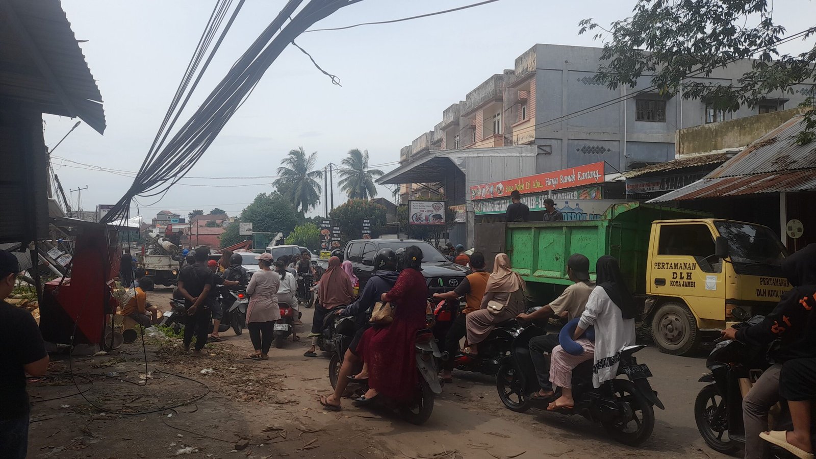 Diterjang Angin Kencang, Pohon Tumbang Timpa Ruko di Kota Jambi