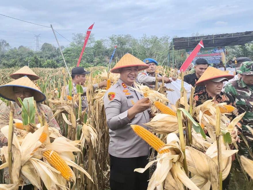 AKBP Wendi Oktariansyah: Panen Jagung Jadi Bukti Polri Dukung Kemandirian Pangan
